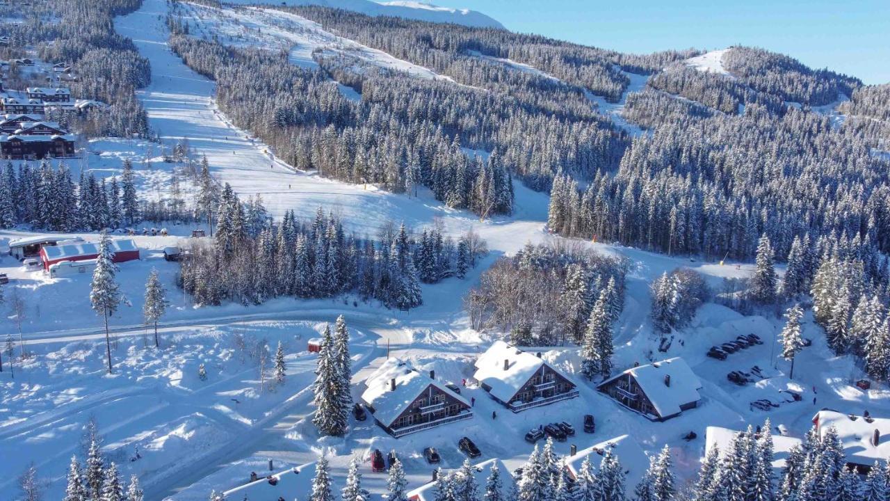 Bakkebyvegen 20A Villa Trysil Dış mekan fotoğraf